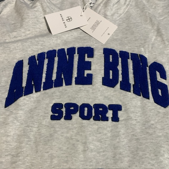 Anine Bing Sport Grey Pullover Hoodie Blue Distressed Embroidery Size S, M, L - Picture 3 of 3